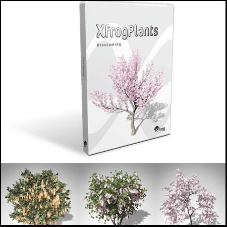 20种开花的树木素材之家精选3D模型