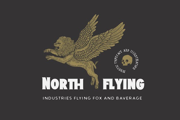 现代版式设计英文衬线字体 Liondales & Extra插图(4)