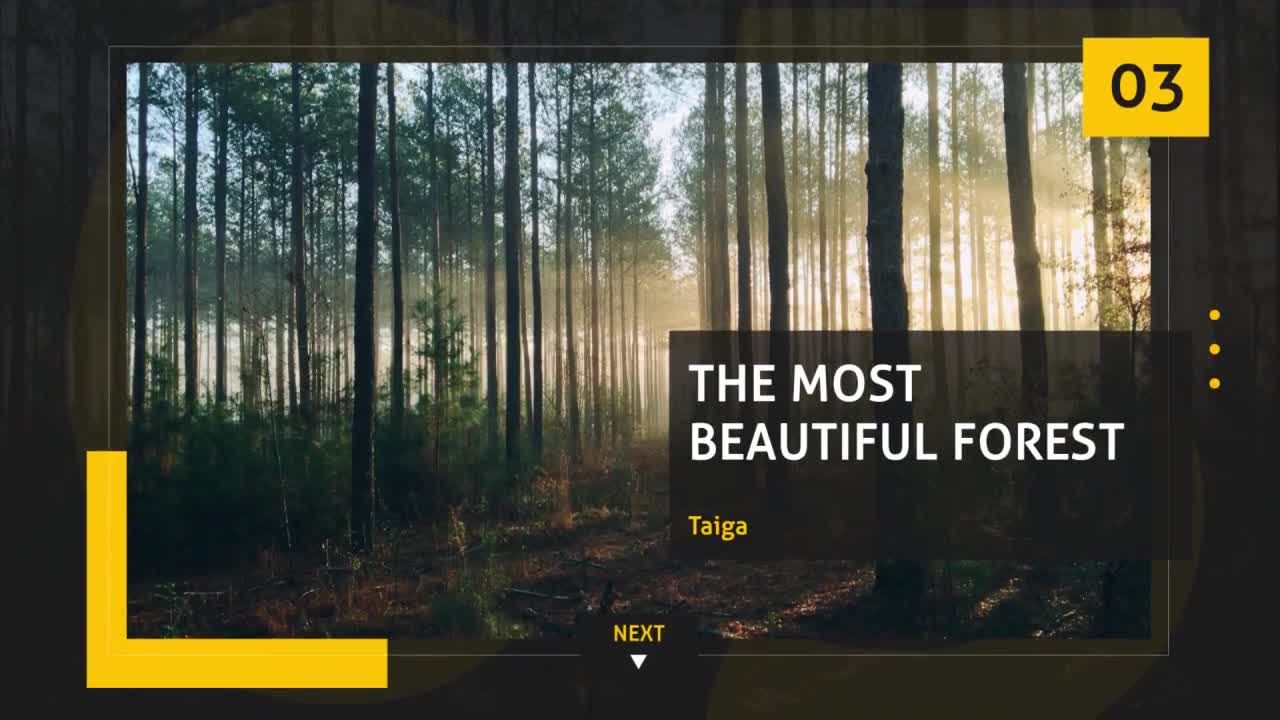 时尚的幻灯片炫耀照片素材库精选AE模板