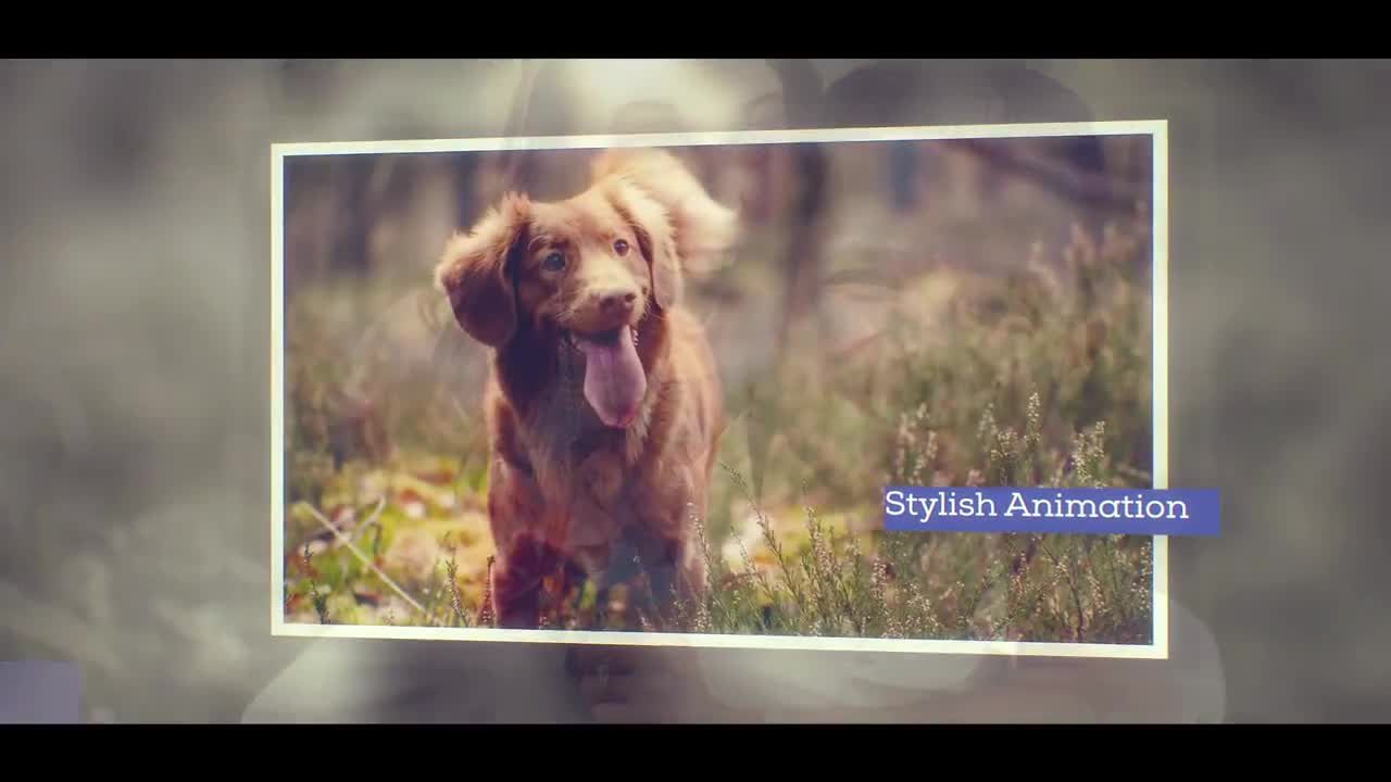 简单的旅行动画素材库精选AE模板