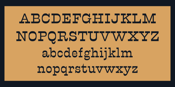 Calamity Wayne Font Family插图2