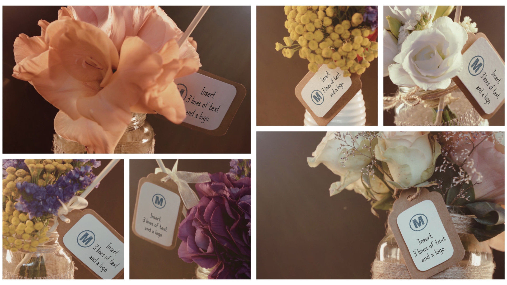 六个婚礼邀请函开场动画素材库精选AE模板