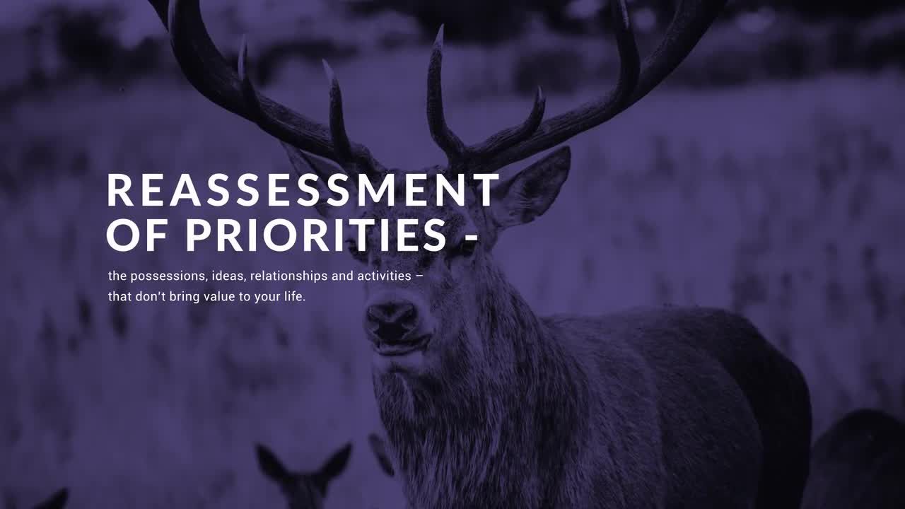 简洁现代的标题幻灯片素材库精选AE模板