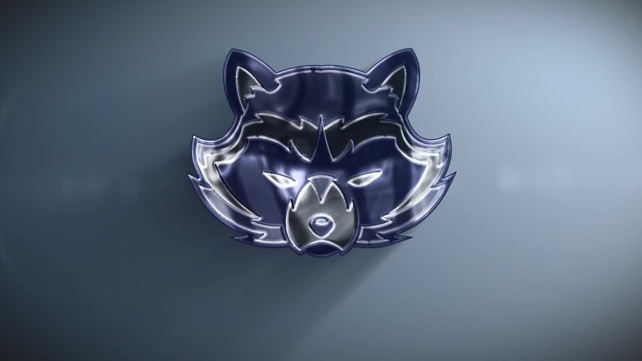 干净专业简洁风格化徽标展示素材库精选AE模板