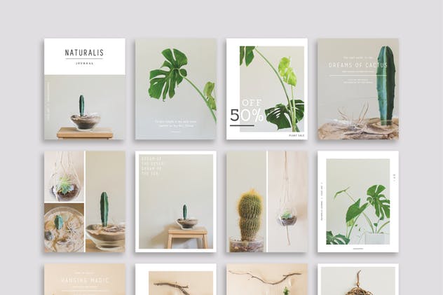 现代简洁风格多用途社交媒体贴图模板素材库精选 NATURALIS Social Media BUNDLE插图(6)