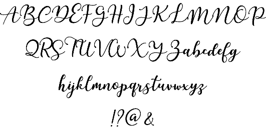 Martinesse font插图1