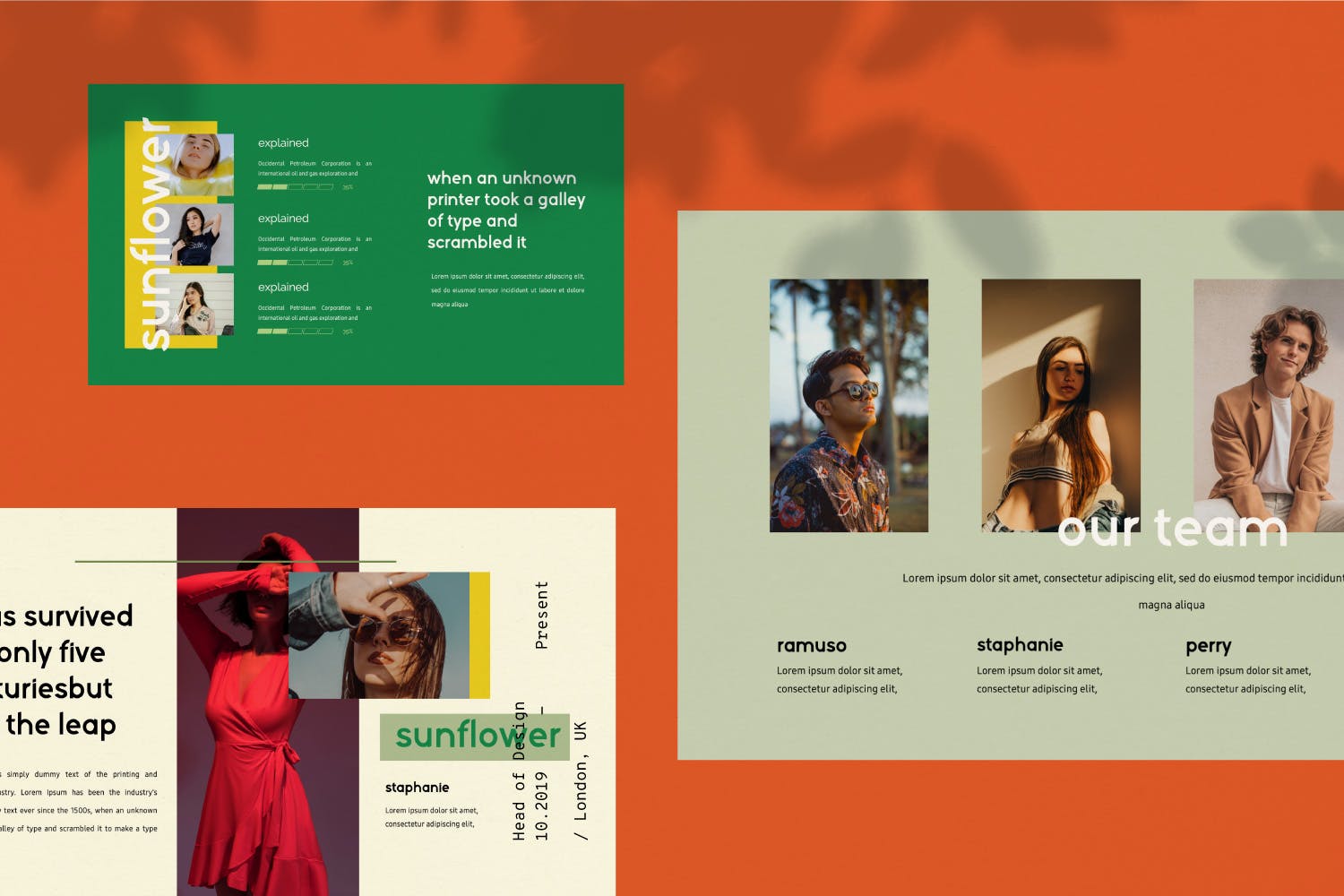 摄影工作室介绍PPT模板素材下载 Sunflowers – Powerpoint插图(4)