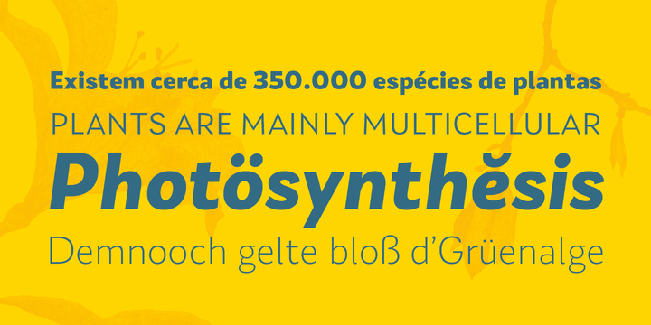 Laca Text Font Family插图4