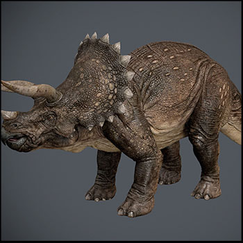 三角龙恐龙素材之家精选3D模型