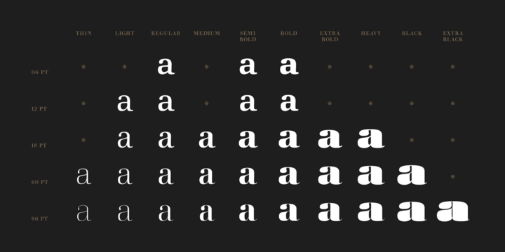 Walbaum Font Family插图6