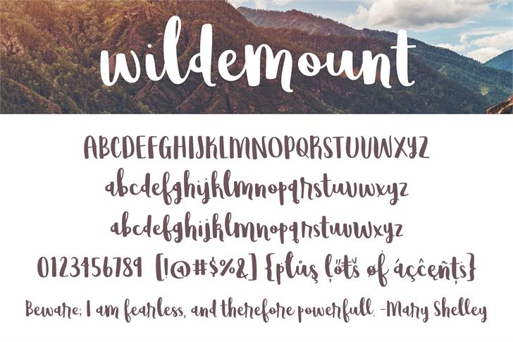 Wildemount font插图1 Wildemount font插图1