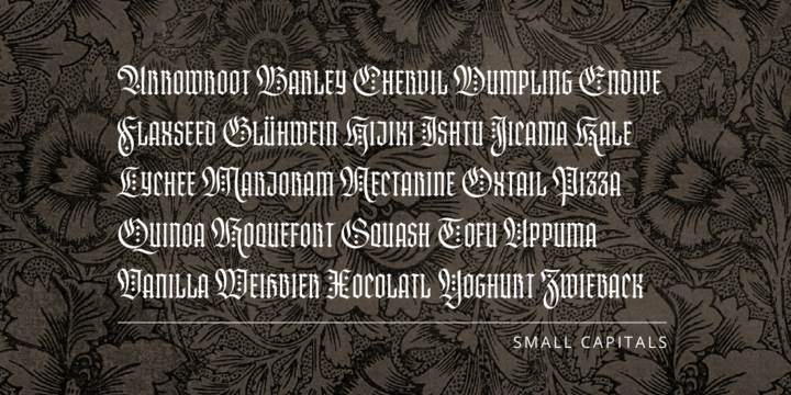 Brilliance Font Family插图3