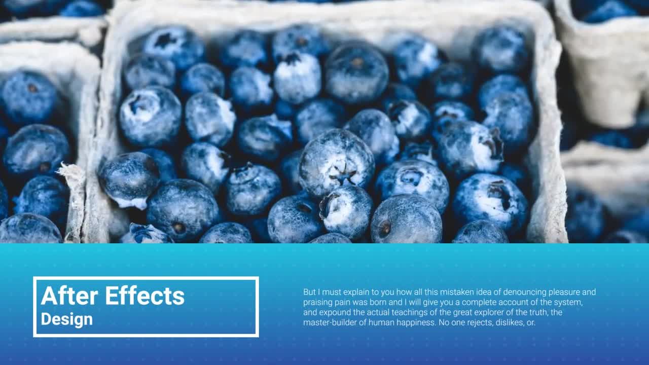 10个完全可定制现代幻灯片素材库精选AE模板