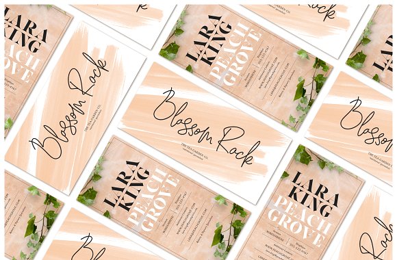 Solar Vesta | Font Collection插图1