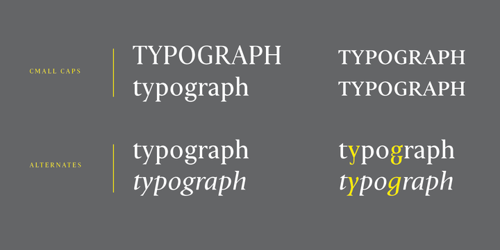 Haggard Nova Font Family插图7