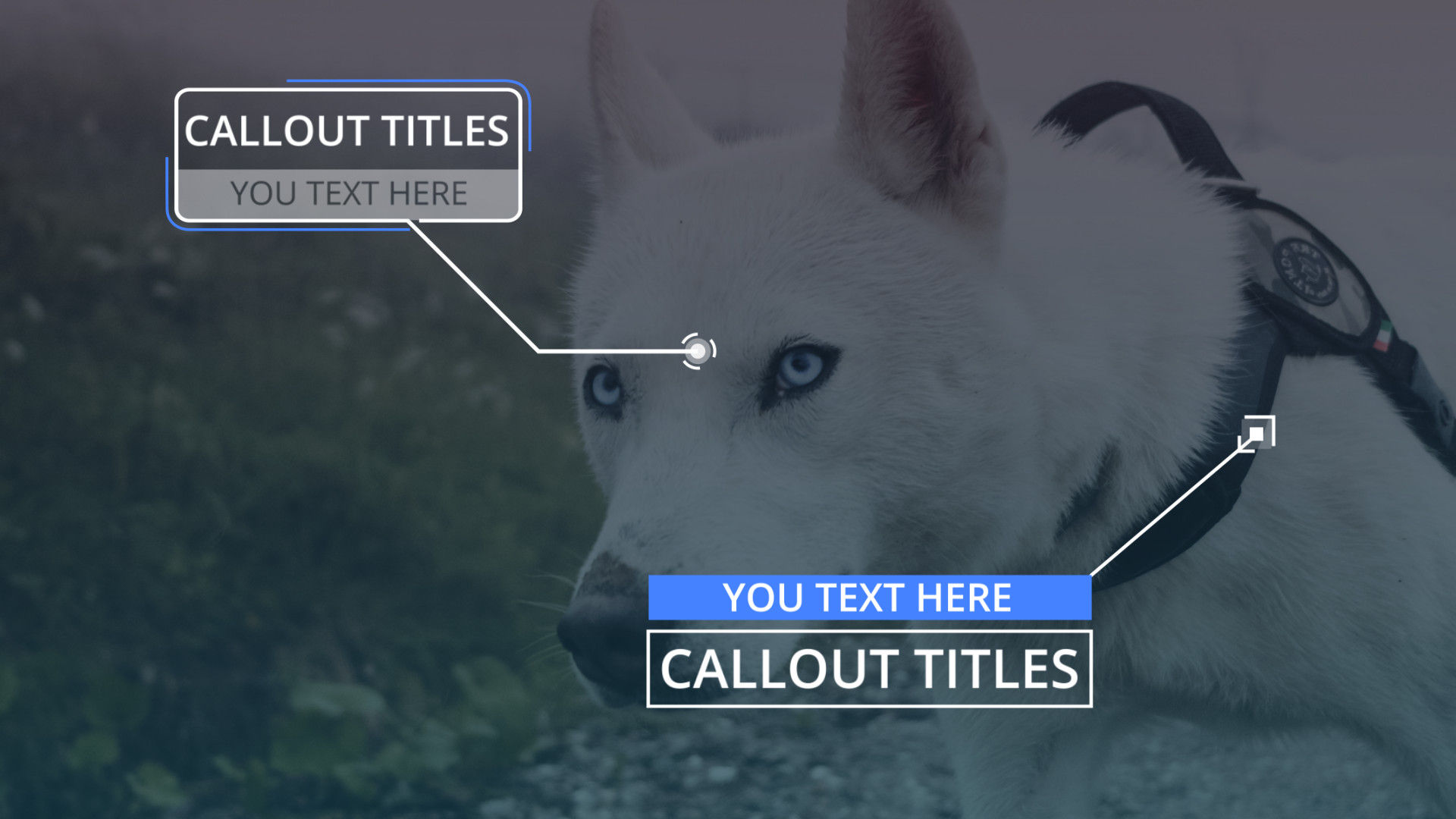 12个创意标注标题素材库精选AE模板