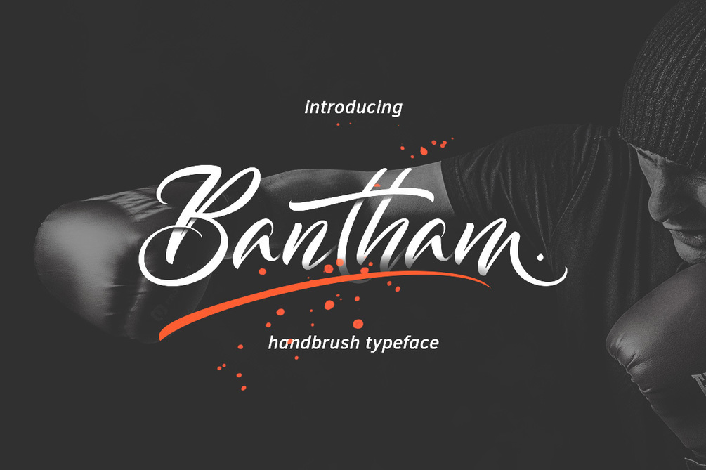 Bantham Typeface素材之家精选英文字体