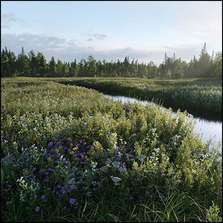 15套花卉野草植物素材之家精选3D模型