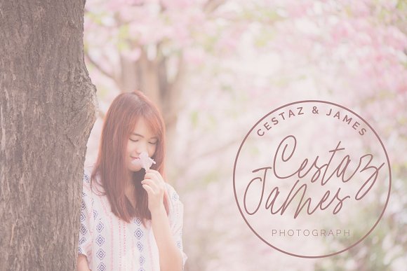 Cherry Blossom插图2