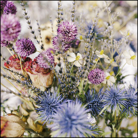 17个品种102款干花装饰花卉素材之家精选3D模型