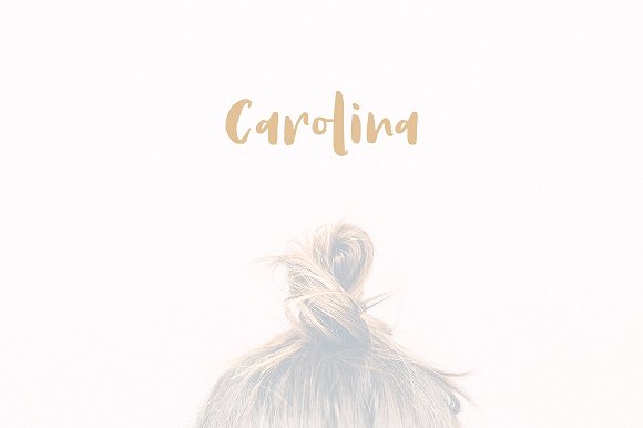 Antums Brush Font插图1