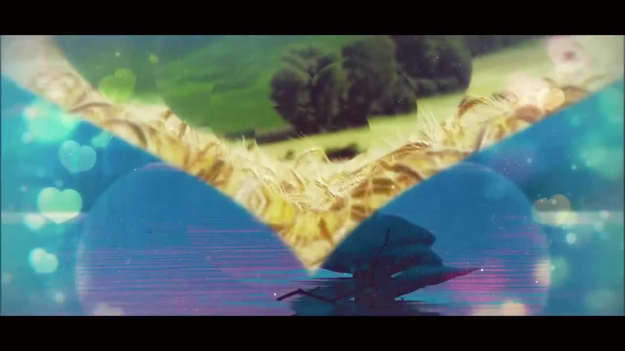 优雅华丽的创意艺术文字动画素材库精选AE模板