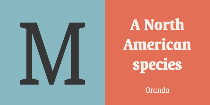 Oranda Font Family插图1