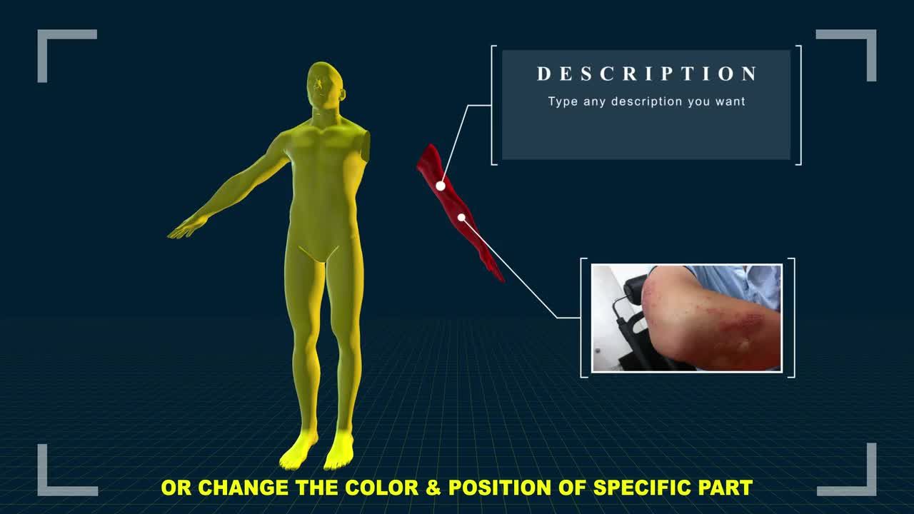 三维人体信息动态图表素材库精选AE模板