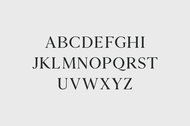 版式设计必备的现代优雅衬线字体家族 Zimra Serif Fonts Family Pack插图(1)