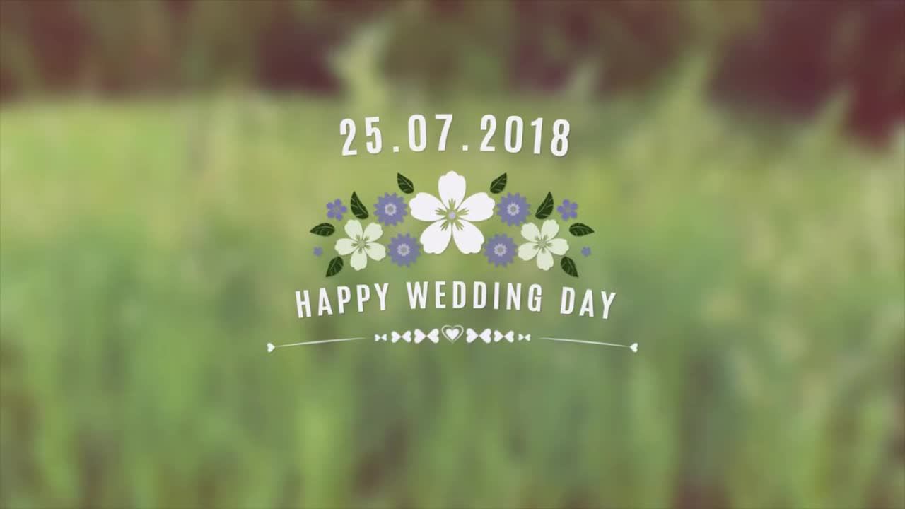 10个独特的复古浪漫的花卉标签素材库精选AE模板