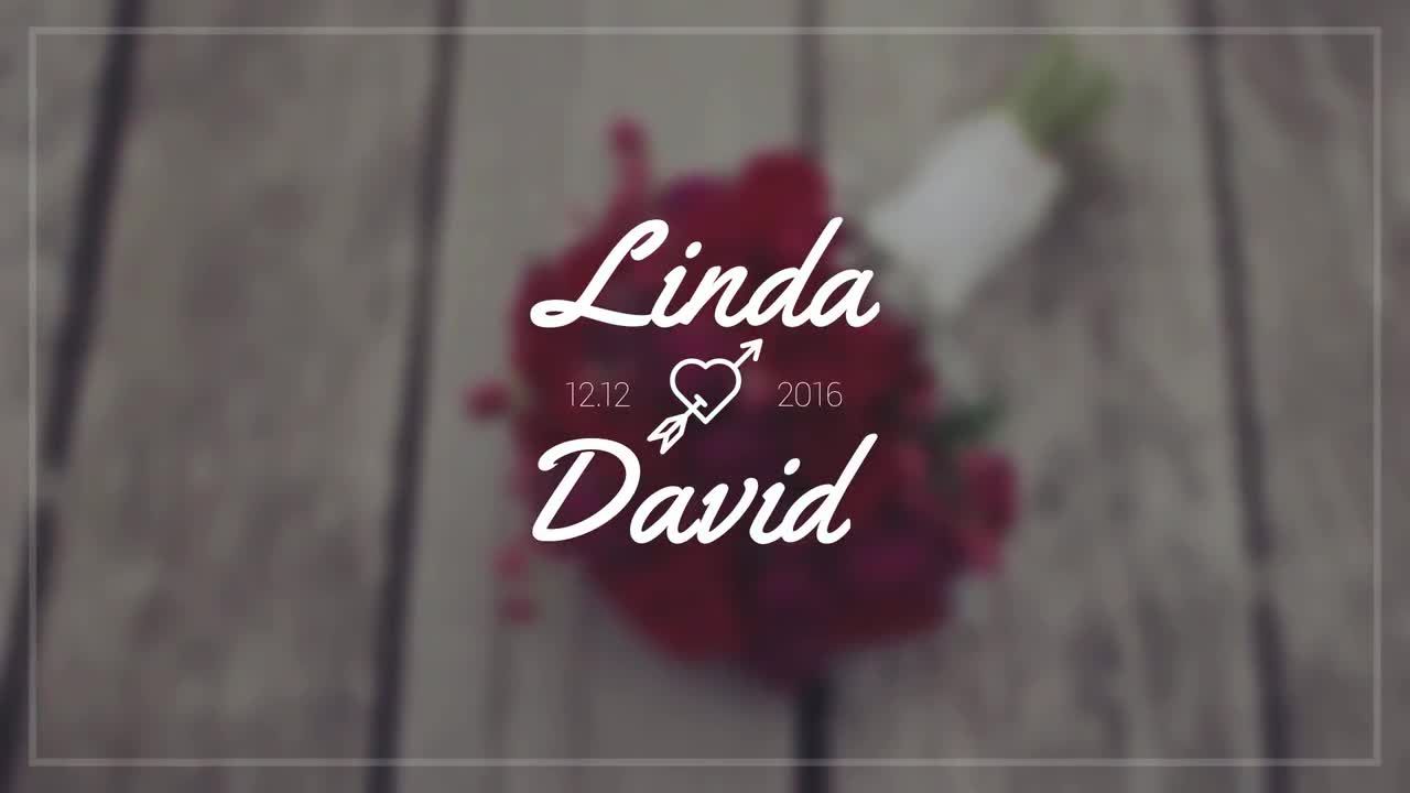 14个流畅的婚礼标题素材库精选AE模板