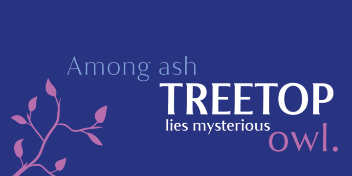 Hlad Font Family插图2