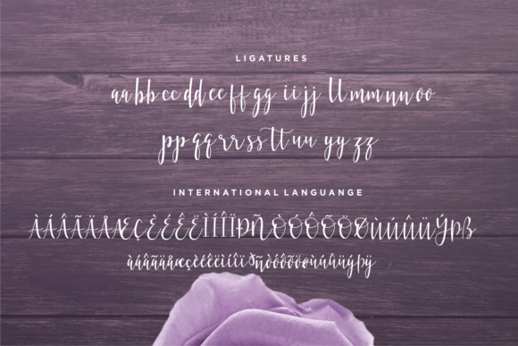 Bellattrix Font插图6