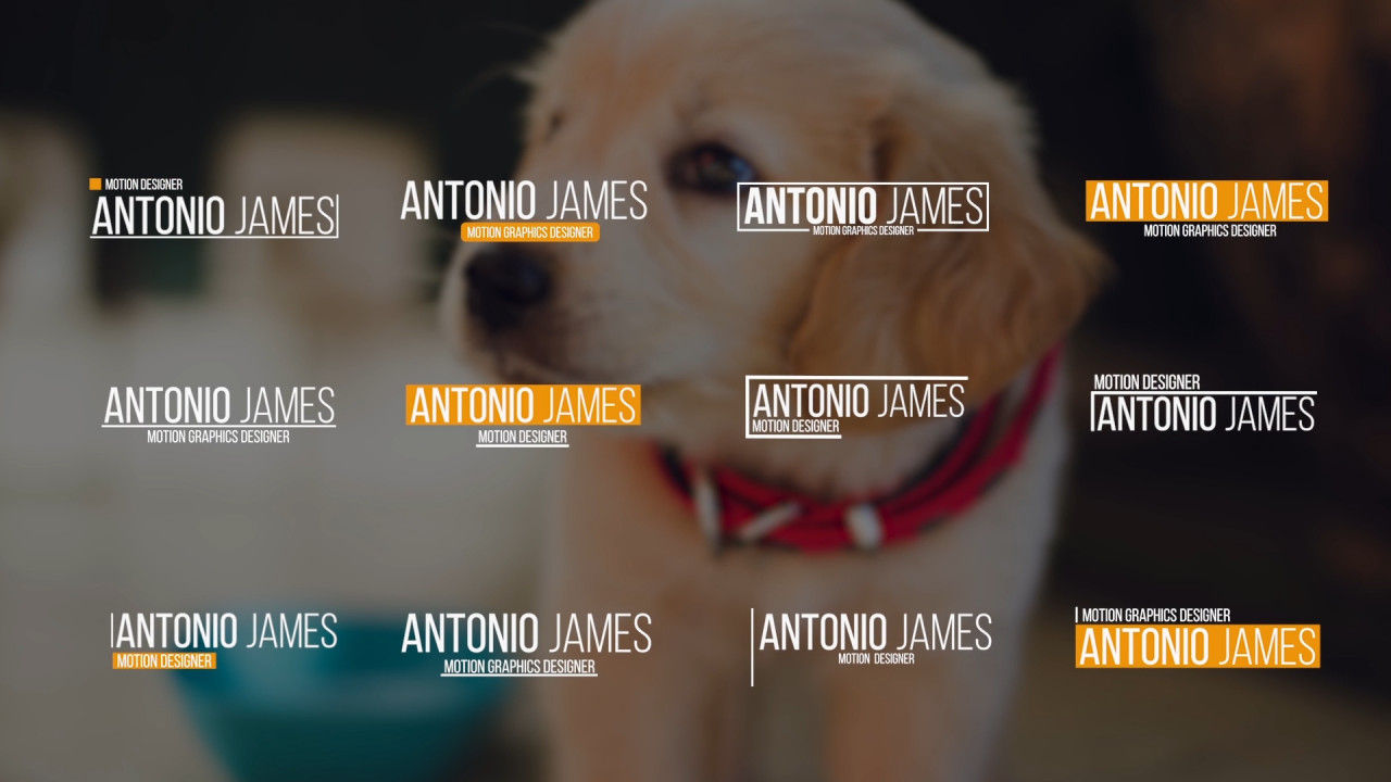 12个独特设计和动画下三分之一标题素材库推荐PR模板