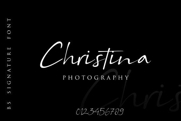 BS SIGNATURE Font插图1