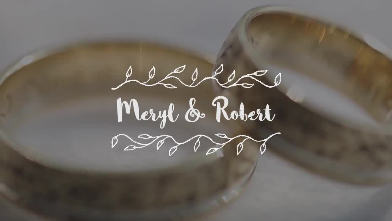 温柔可爱的婚礼手绘动画PR模板