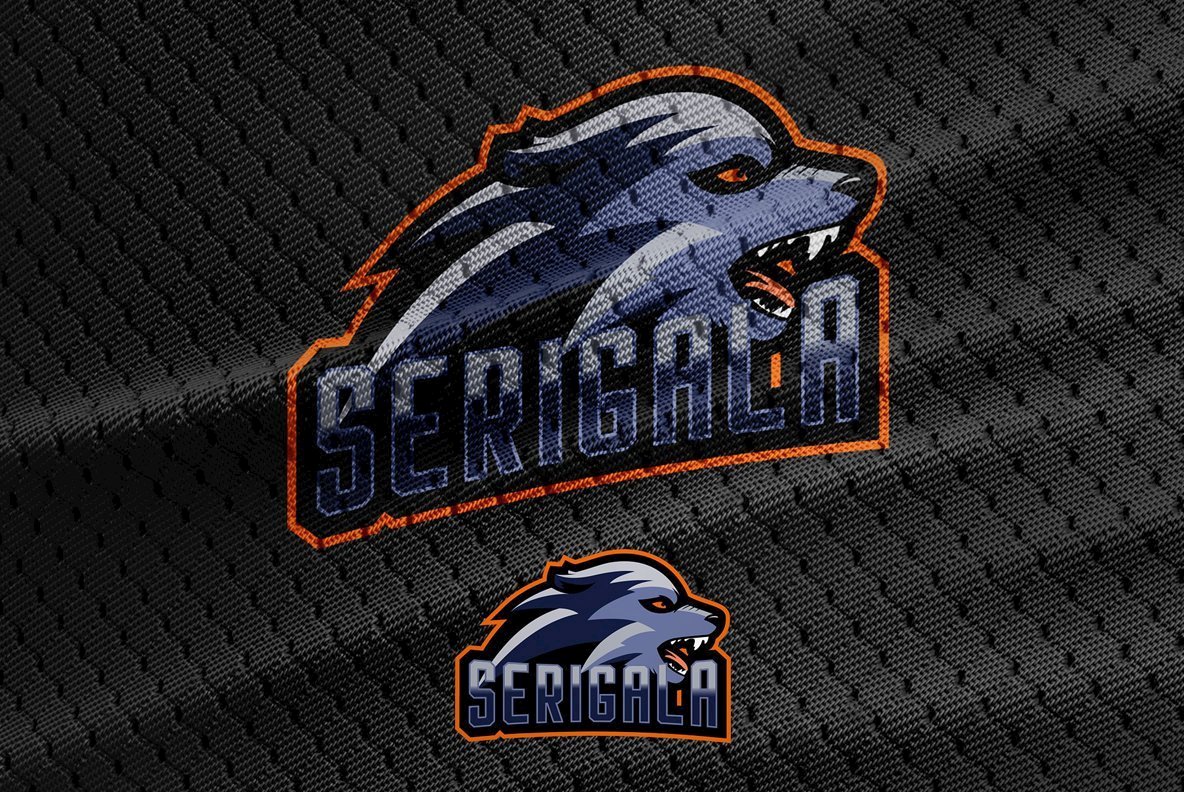 Houston Font Family插图4