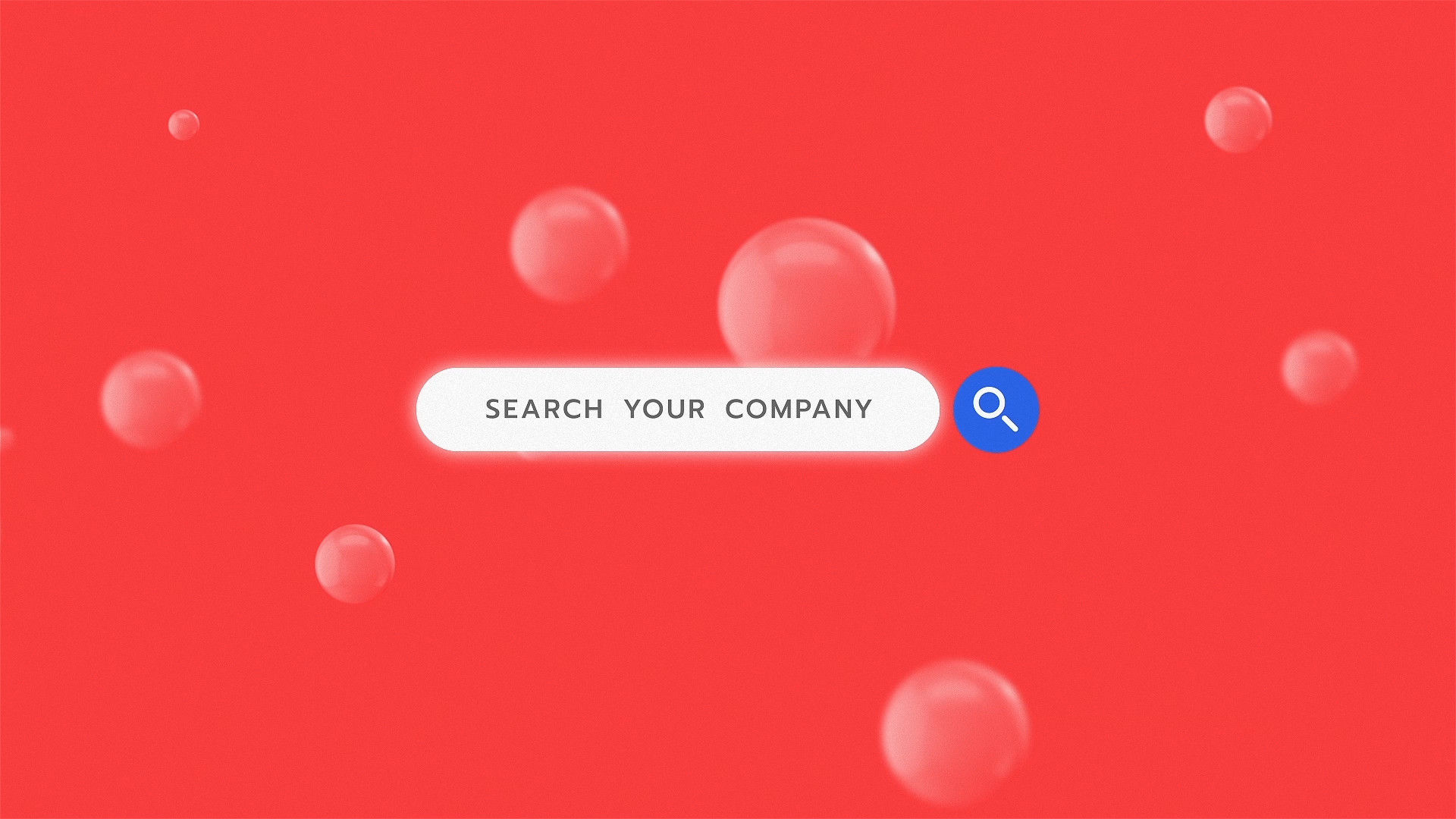 明亮动态的互联网搜索徽标显示素材库精选AE模板