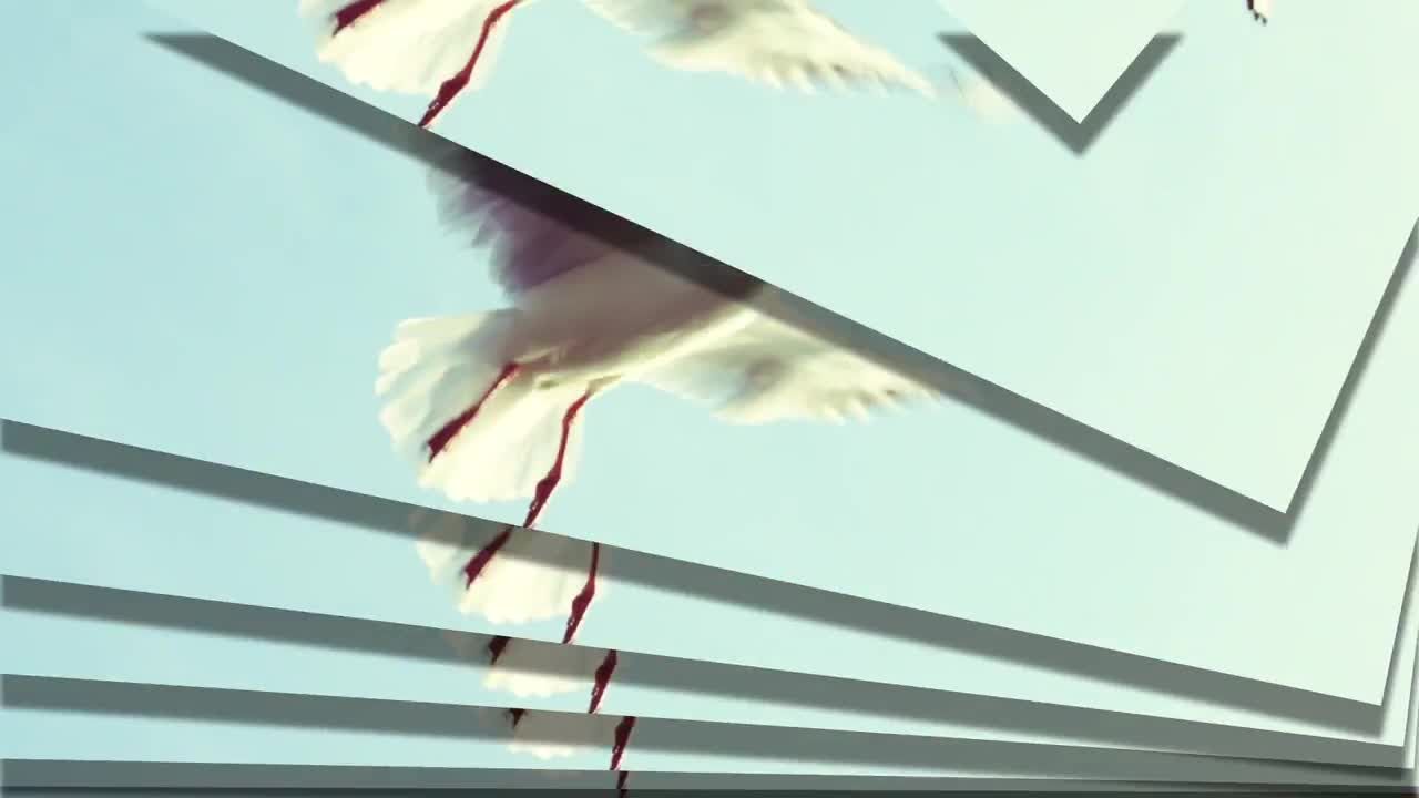 14个独特的趣味添加动画过渡素材库推荐PR模板