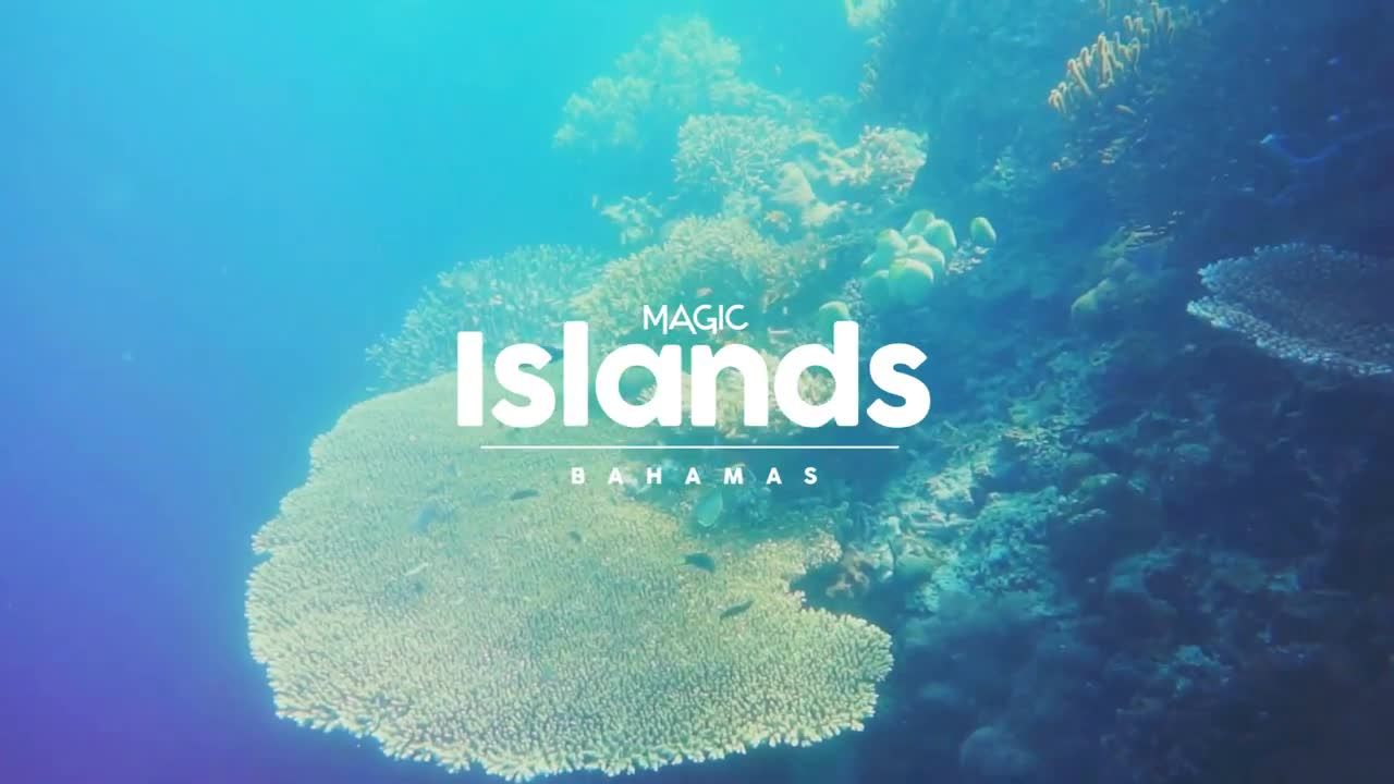 美好的旅游日志记录视频展示素材库推荐PR模板