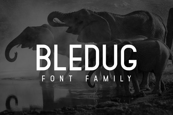 Bledug Font Family素材之家精选英文字体