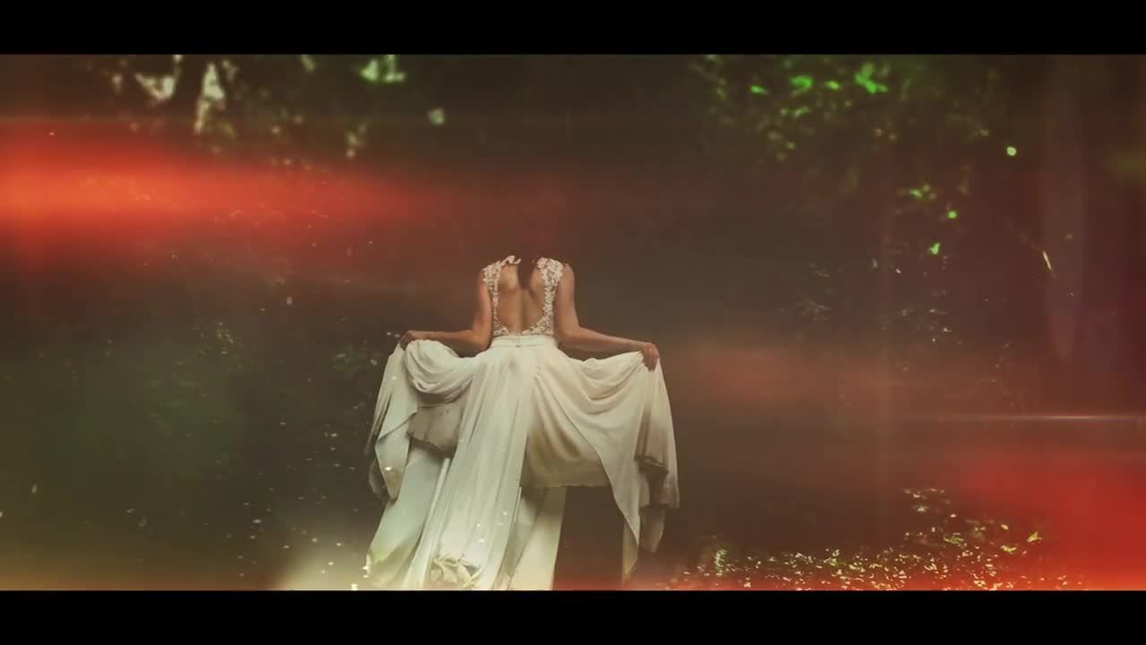 干净而优雅的婚礼情人节pr漏光效果模板