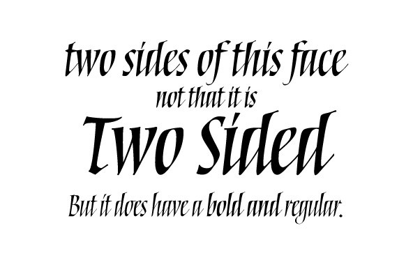 Torquemada Font Family插图5