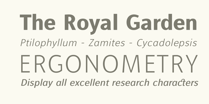 Alfabetica Font Family插图2