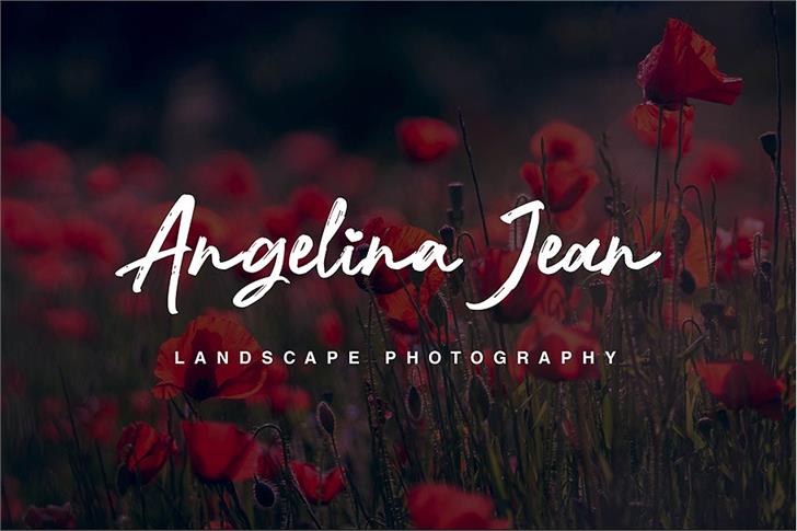 Nocturnal font插图2 Nocturnal font插图2