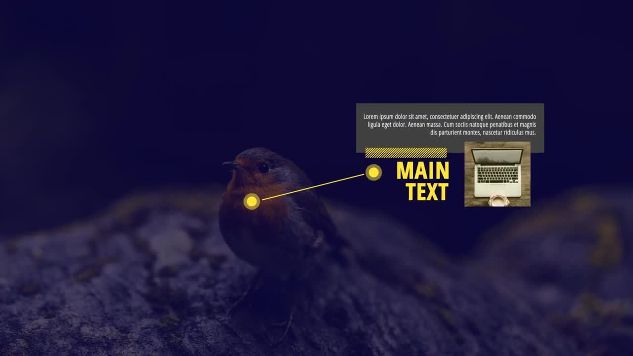 动态标注标题动画素材库精选AE模板