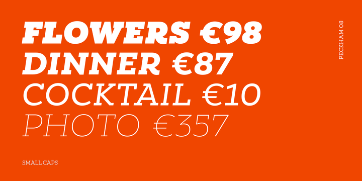 Peckham Font Family插图4