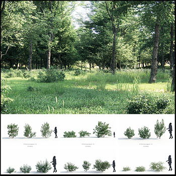 绿色植物树木灌木丛素材之家精选3D模型