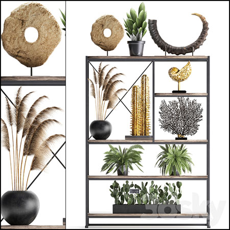 装饰架上的植物 雕像 仙人掌等装饰品素材之家精选3D模型