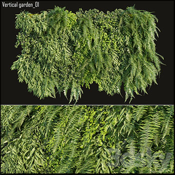 龟背竹植物墙素材之家精选3D模型